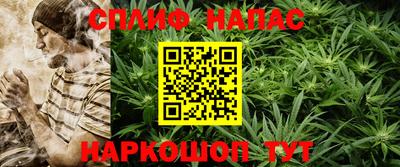 шишки Беслан