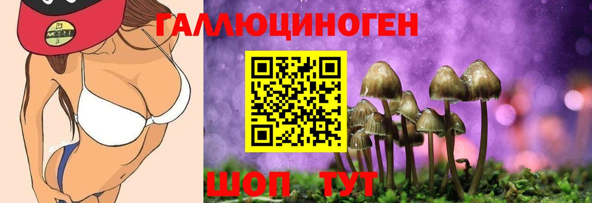 Галлюциногенные грибы прущие грибы Богородицк